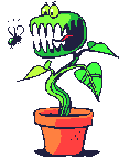 plante1