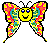 papillon4